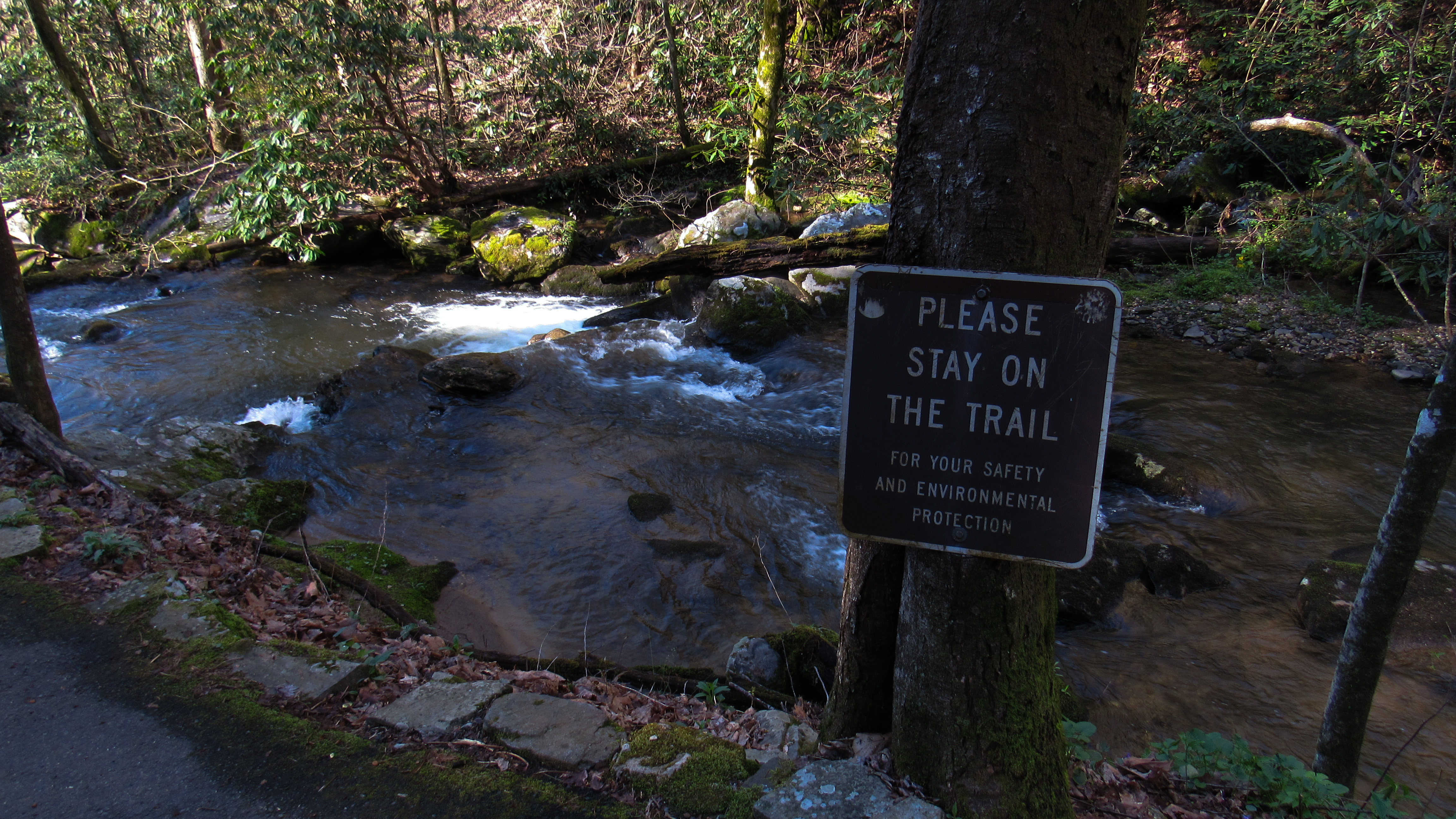 They do keep you close to the water for this briefest of hikes.